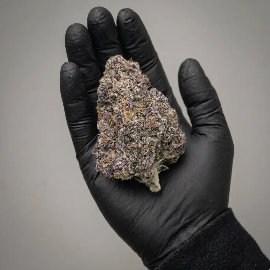 Glasshouse Seedless WHITE WIDOW PURPLE Flowers (kg)
